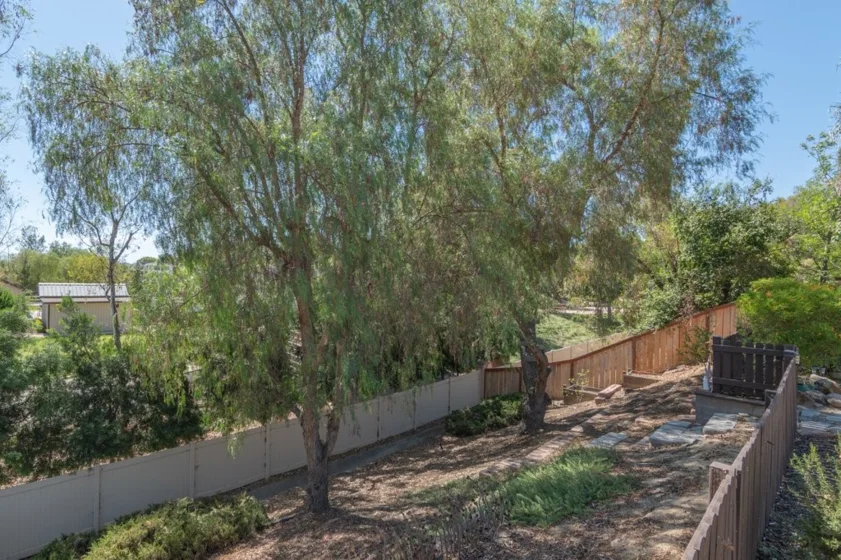 42281 Camino Romo photo 14