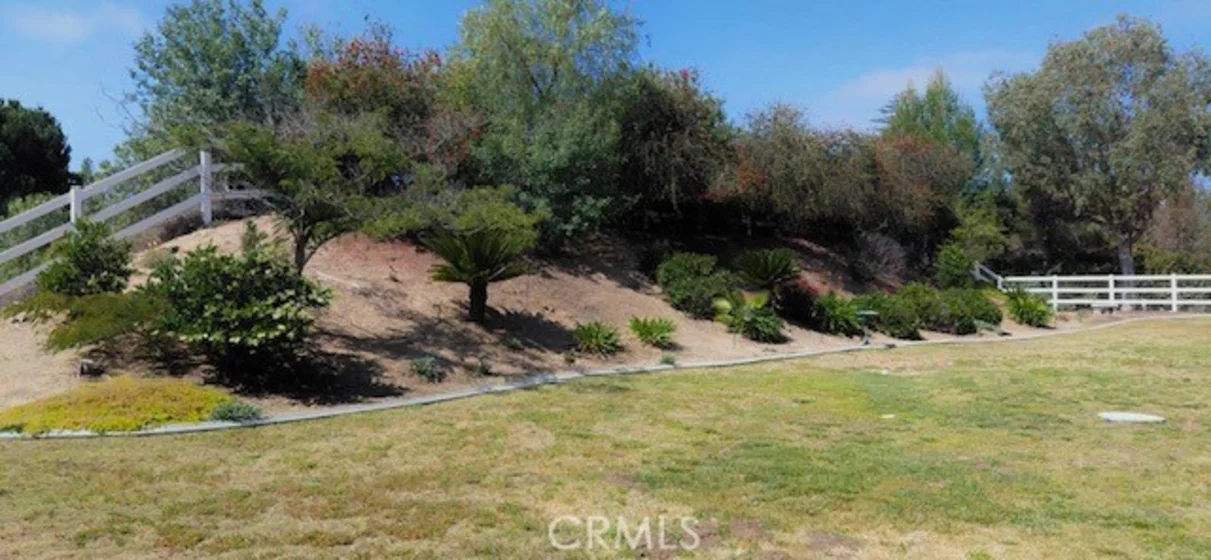 31201 Avenida Del Reposo photo 14