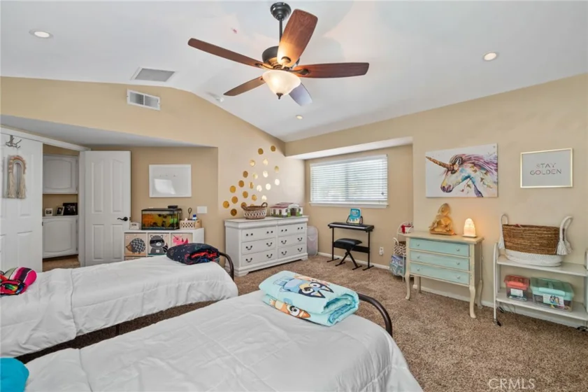 25401 Lacebark photo 39