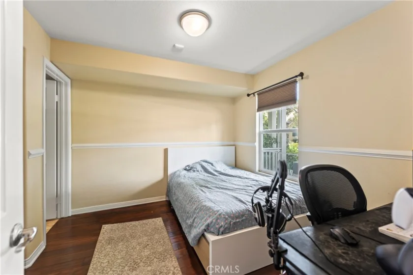 1123 Abelia photo 10