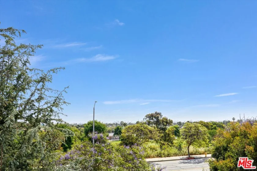 26251 Vermont Avenue #307 photo 3