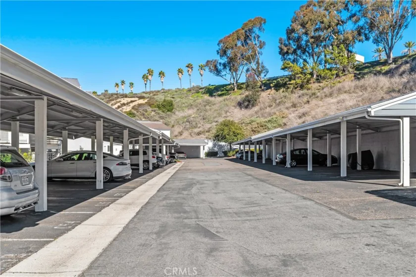 34264 Camino Capistrano #309 photo 26