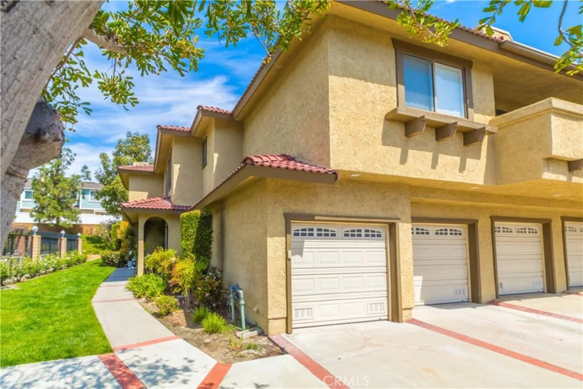 25261 Tanoak photo 1