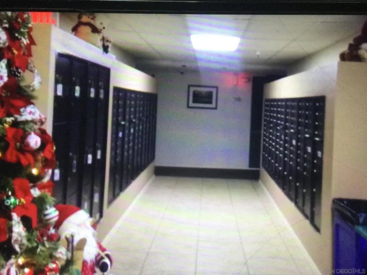 3776 Alabama Street #C304 photo 5