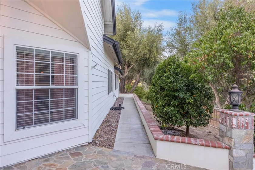 42761 Juniper photo 46