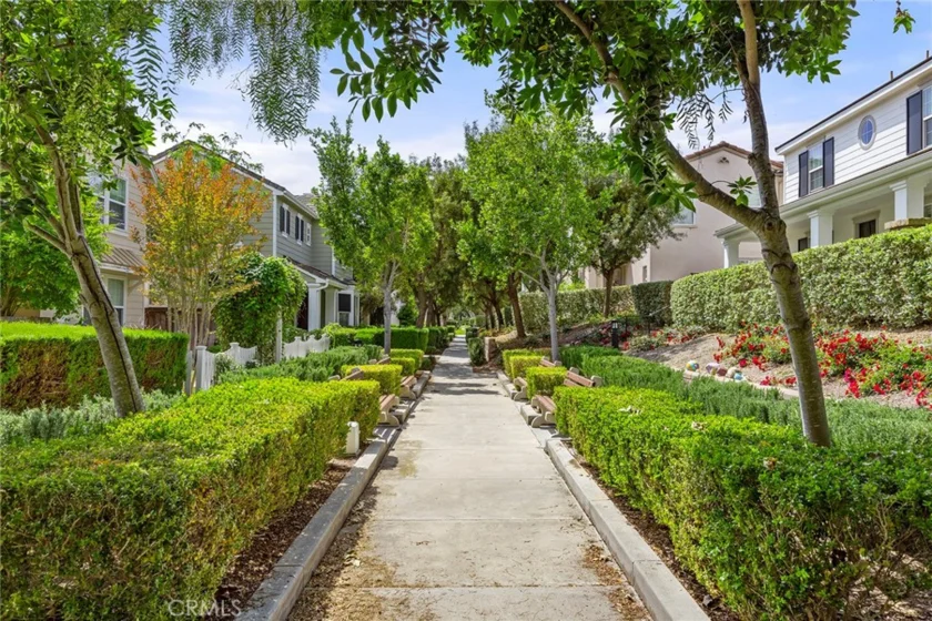 21 Arlington Street photo 53