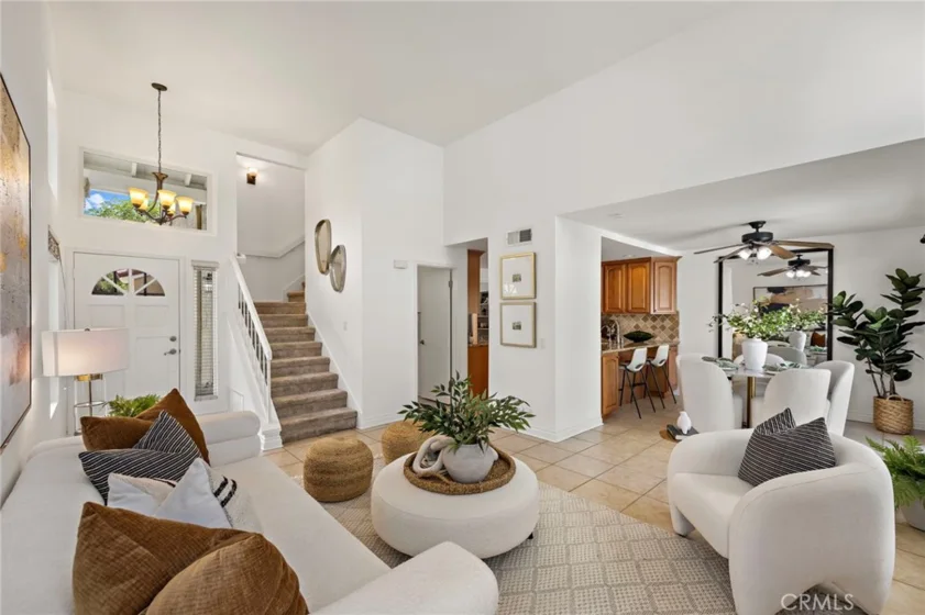 26907 Begonia photo 21
