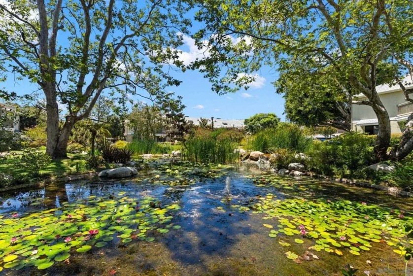 12245 Carmel Vista #290 photo 12