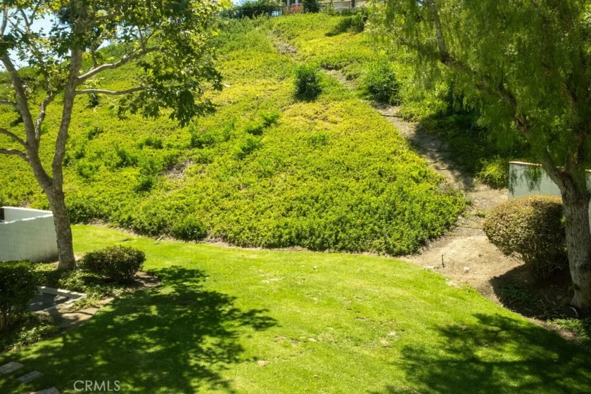 25655 Paseo La Cresta #47 photo 24