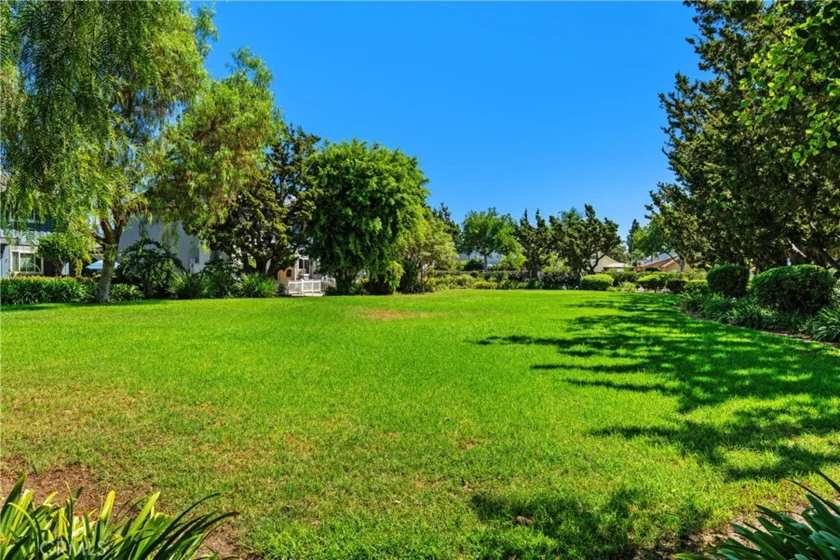 14645 Red Hill photo 7
