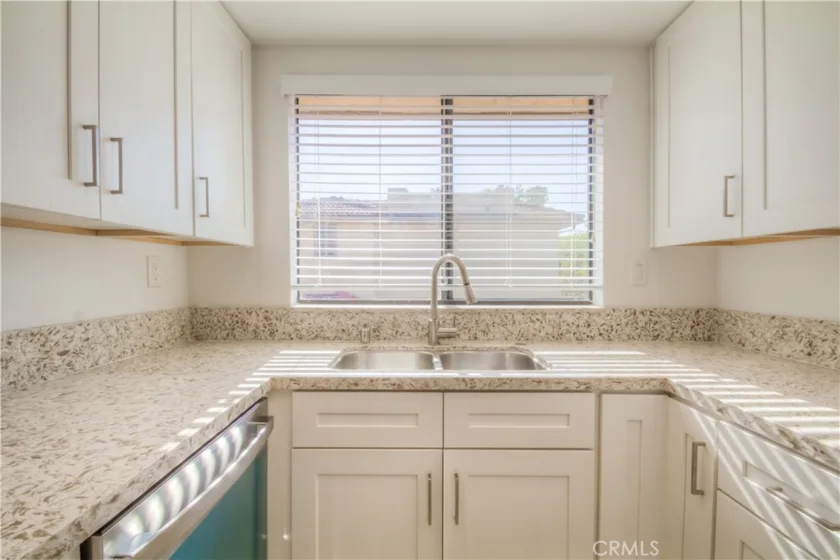 25261 Tanoak photo 17