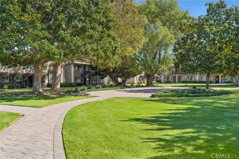 3165 College photo 26