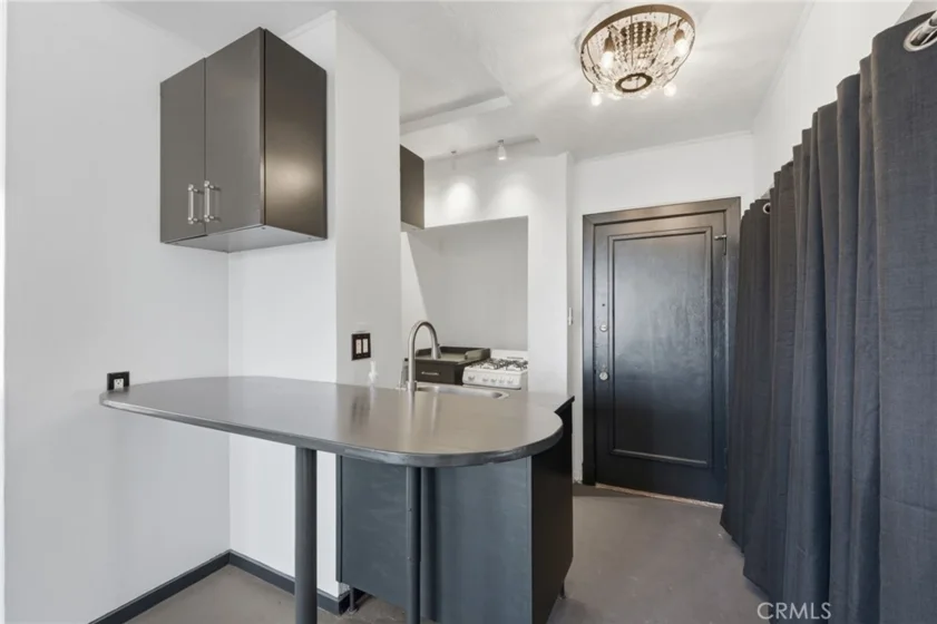 315 W 3rd Street #410 photo 4