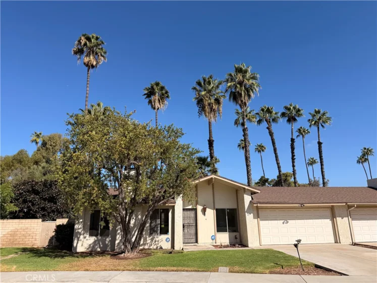 6631 Wintertree Drive photo 1