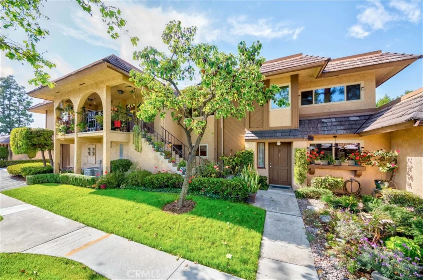 1056 Las Lomas Drive #C photo 1