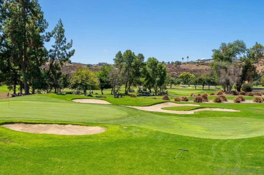 3321 Dehesa Road #95 photo 40