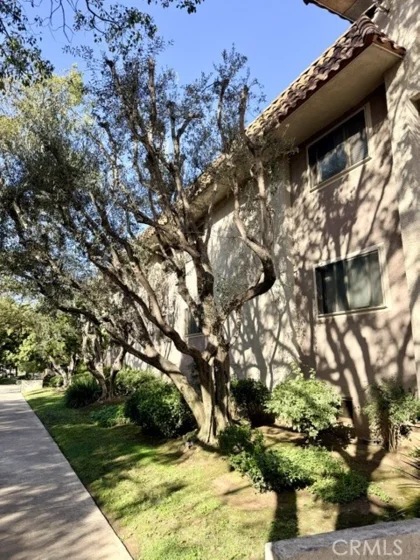 8650 Belford photo 28