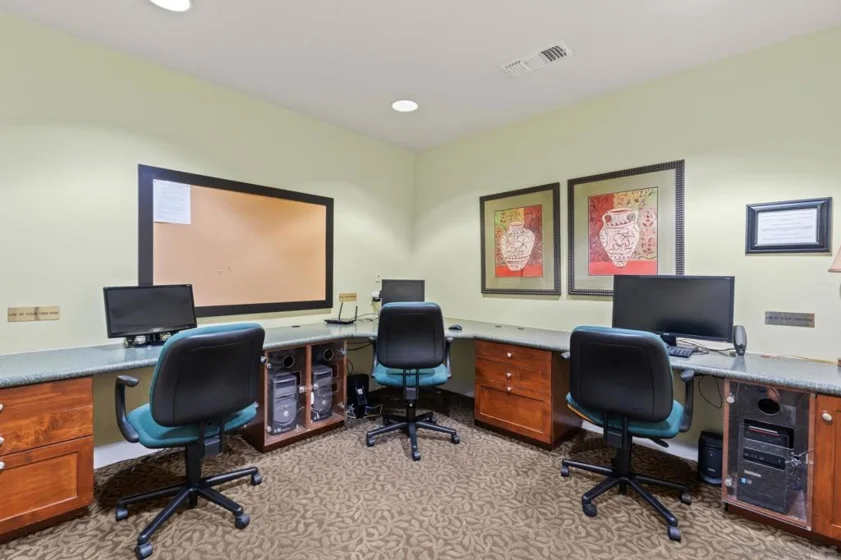 10867 Serafina Lane #37 photo 40