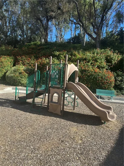 21245 Camelia #27 photo 39