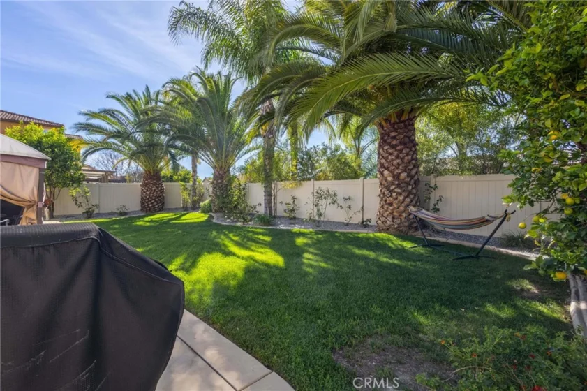 35385 Summerholly Lane photo 43