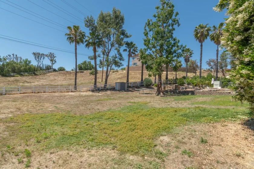 40575 Calle Fiesta photo 43
