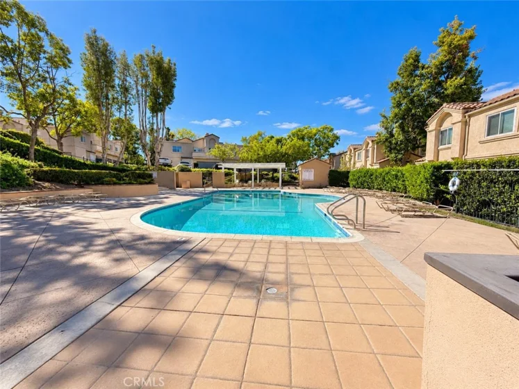 21156 Gladiolos photo 16