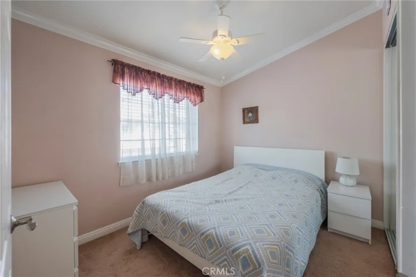 38 Carnation photo 20