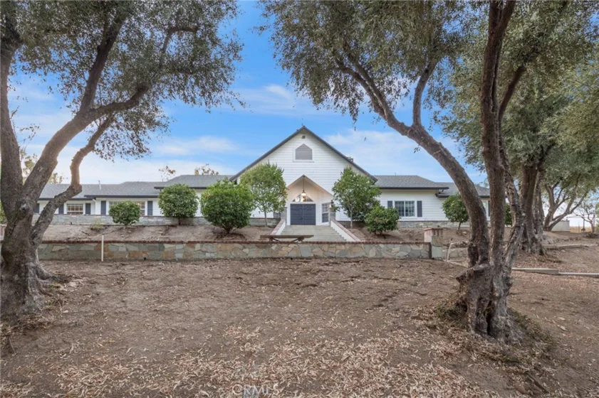 42761 Juniper photo 2