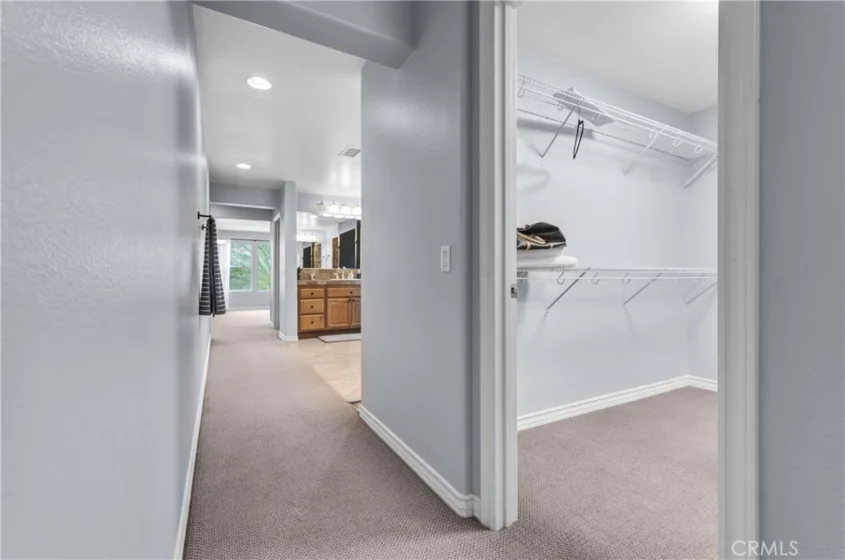 27126 Coral Bells Way photo 39