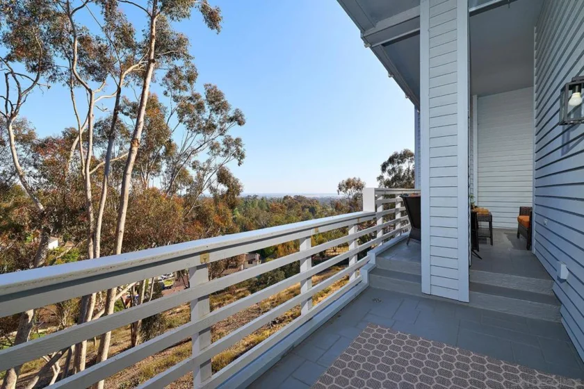 11037 Caminito Vista Pacifica photo 38