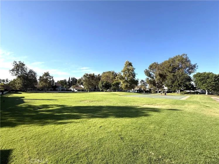 59 Fox Hollow photo 11