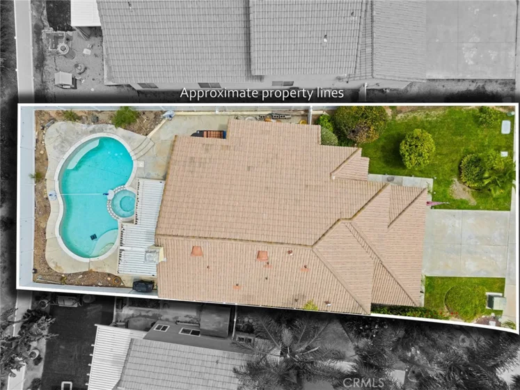 39885 Wild Canary Lane photo 12
