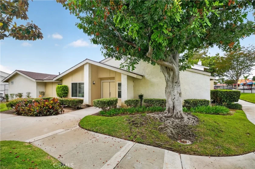 950 E La Habra #100 photo 3