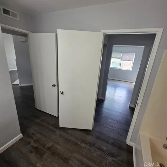 21128 Gladiolos photo 17