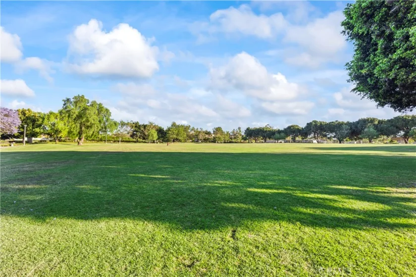 1123 Abelia photo 33