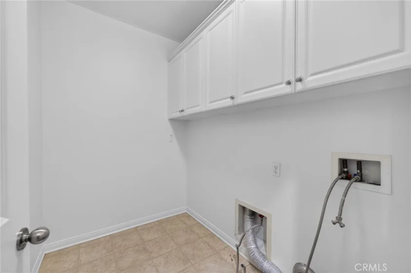 30780 Olympia Rose photo 35