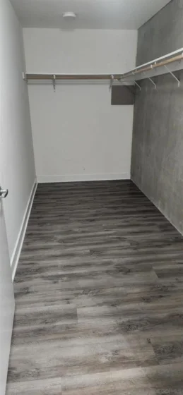 801 Ash Street #203 photo 16