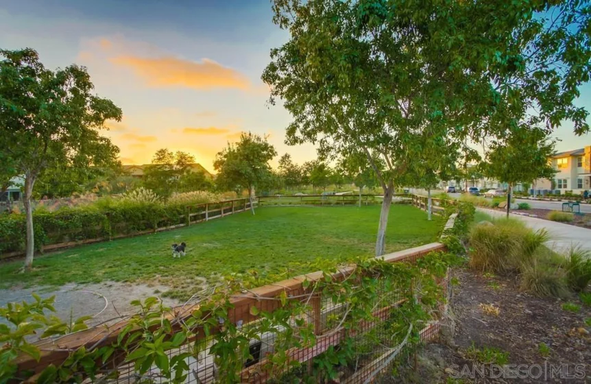 16755 Coyote Bush Drive #50 photo 47