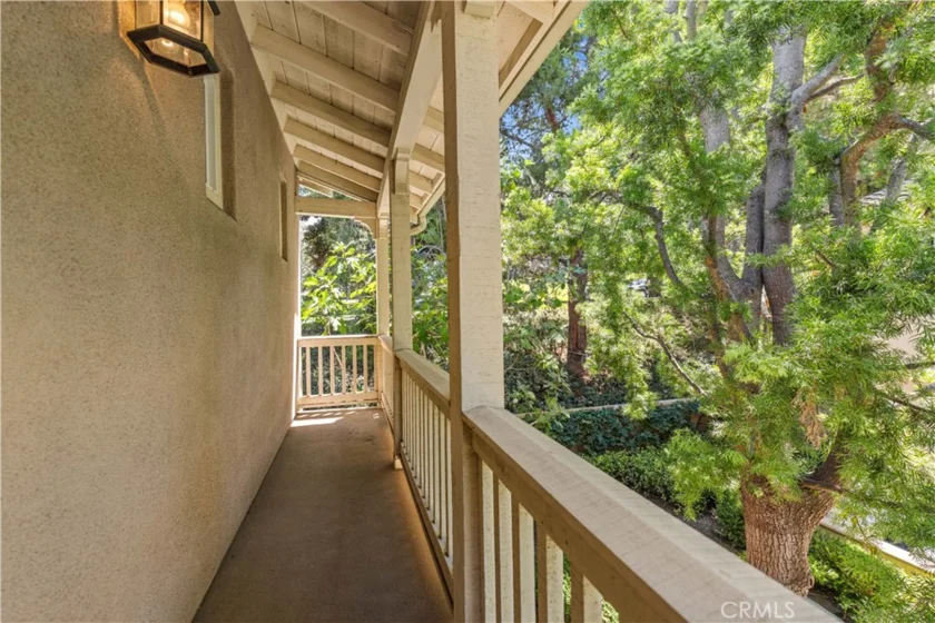 97 Canopy photo 49