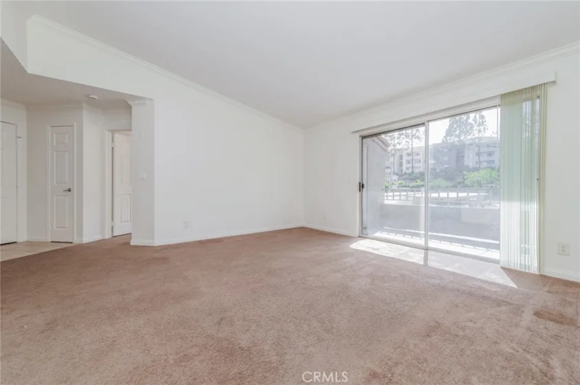 1027 Vista Del Cerro Drive #204 photo 13