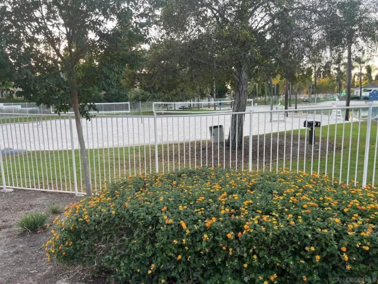 721 Eastshore #56 photo 15