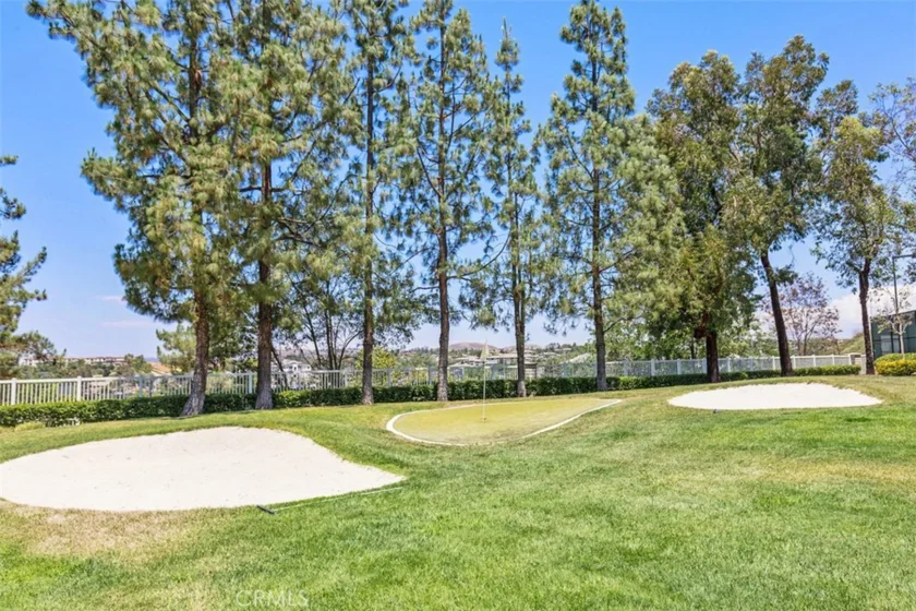 30179 Iron Horse Drive photo 51