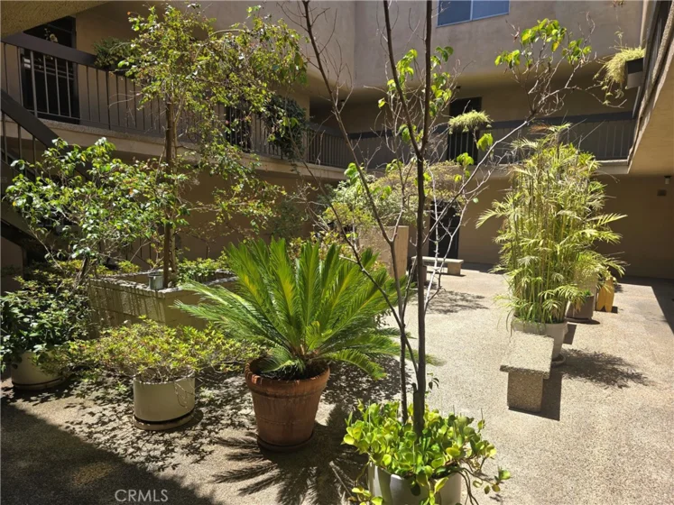 335 N Adams #106 photo 19