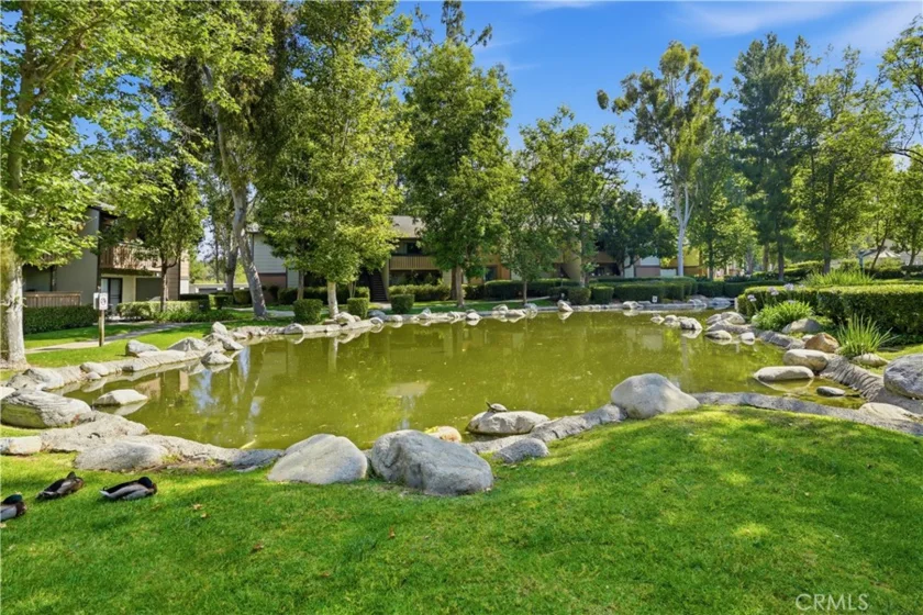 20702 El Toro Road #231 photo 33