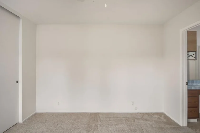 4356 Vision photo 5