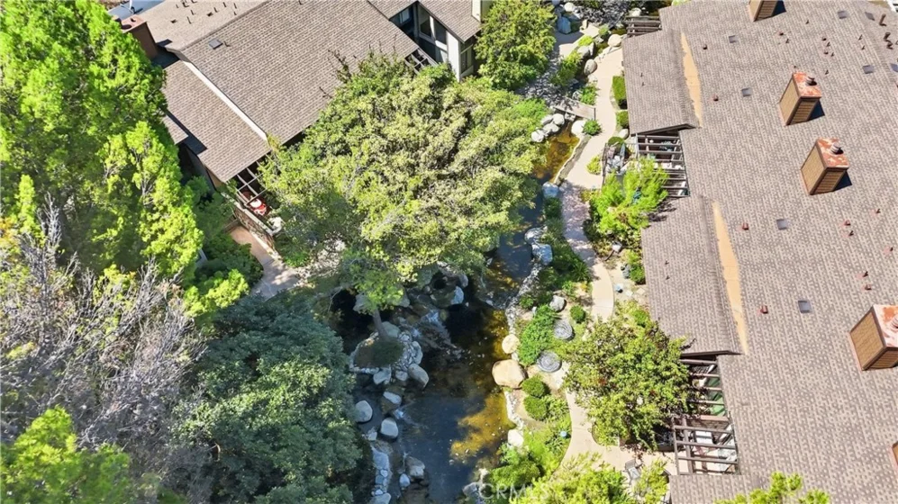 3669 Country Club Drive #C photo 44