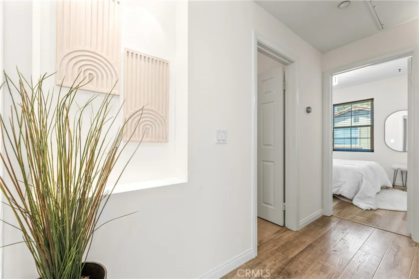 118 Coral Rose photo 22