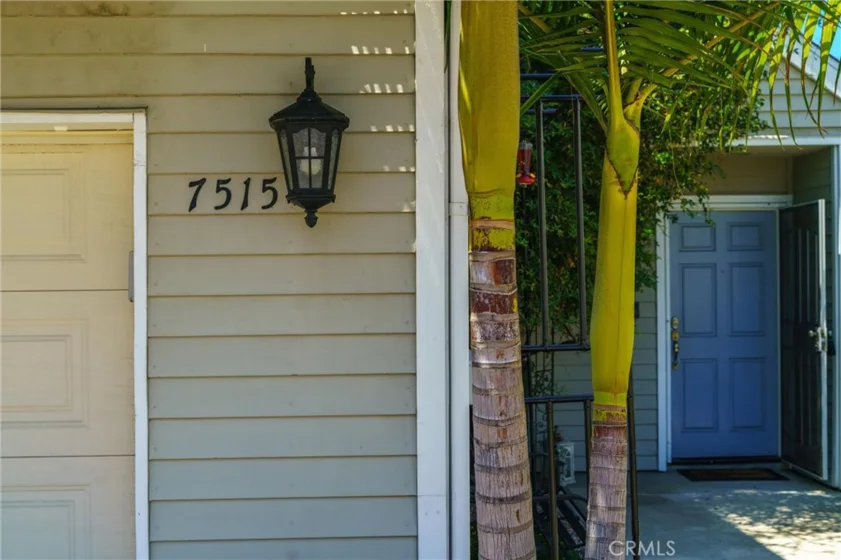 7515 Jamacha Road photo 50