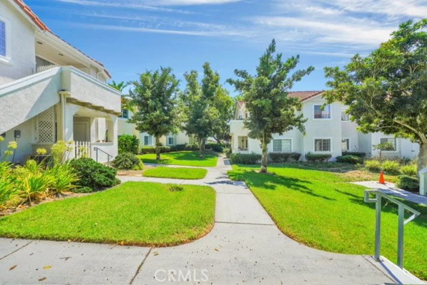 31 Gavilan #124 photo 1