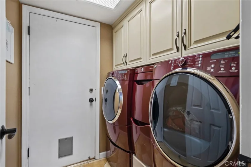25401 Lacebark photo 9